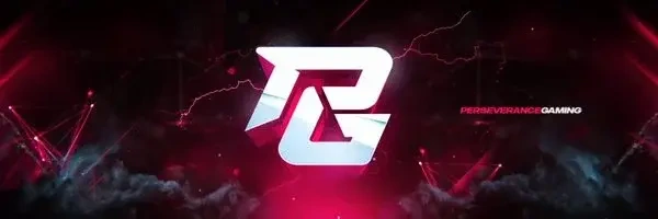 Трагедия в киберспорте: Perseverance Gaming заморозила деятельность из-за потери основателя